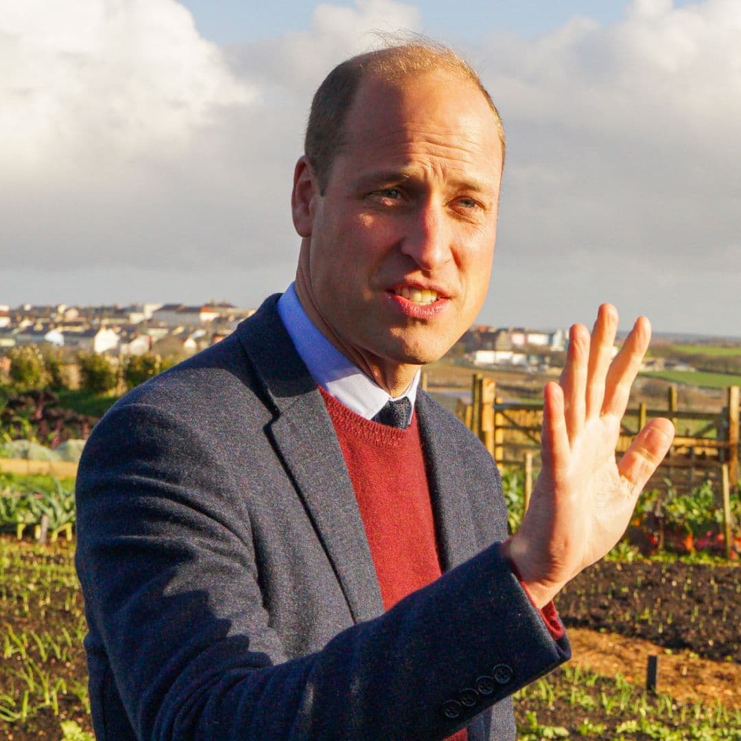  Residents Accuse Prince William of "Causing Disruption" With "Outrageous" Duchy of Cornwall Development, Which Has Been Labeled a "Contradiction" 