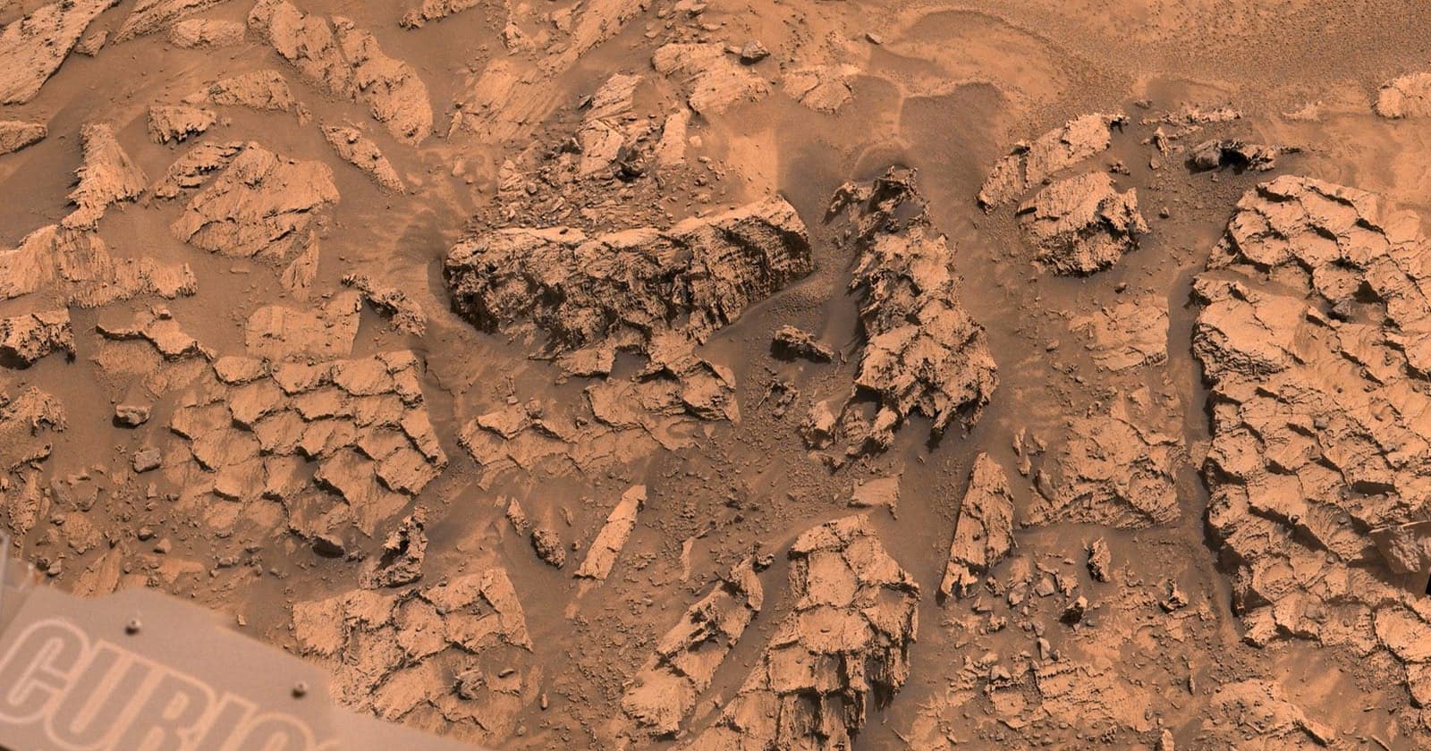 Mars Curiosity Rover Captures Photos of Rocks That Look Like Dragon Scales
