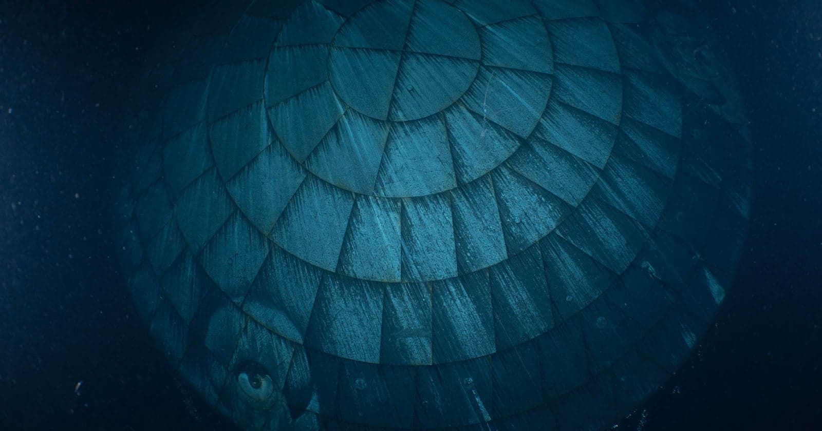 Haunting NASA Photo Shows Artemis II Heat Shield in the Ocean