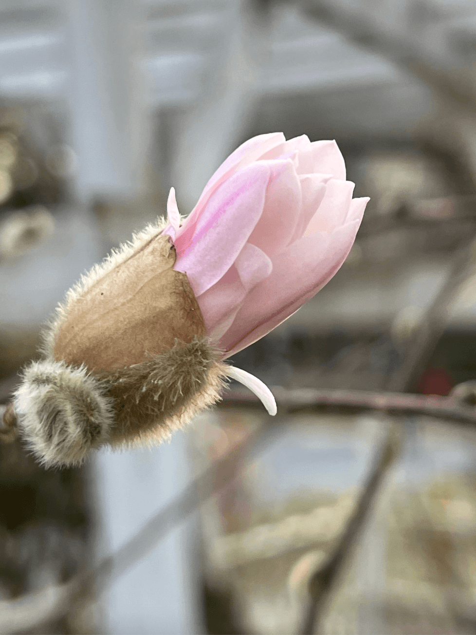 How to Wait Without Getting Bored