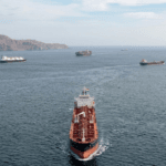 India Has More Ships in the Strait of Hormuz Than Any Other Country – Defence Minister